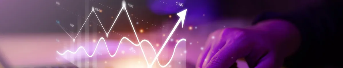 Finanční analýza a řízení podnikových financí s důrazem na export